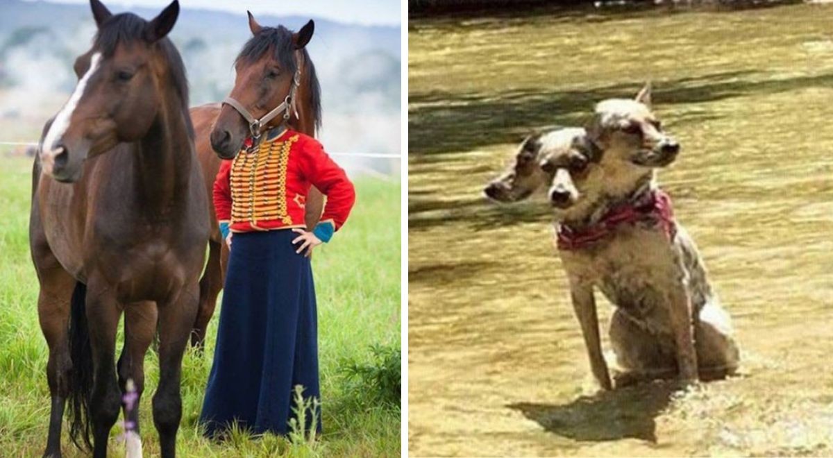 16 images qui ne vous feront pas croire ce que vous regardez