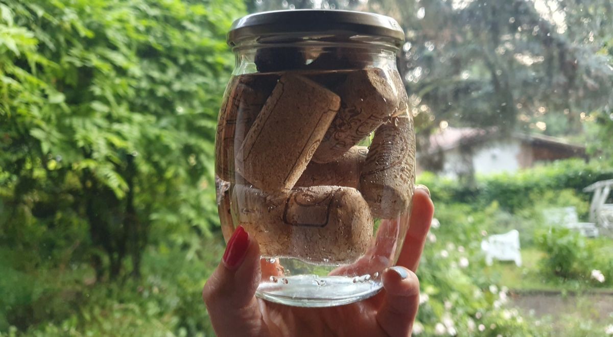 Trucco segreto piante: grattugia dei tappi di sughero e metterli in acqua  bollente