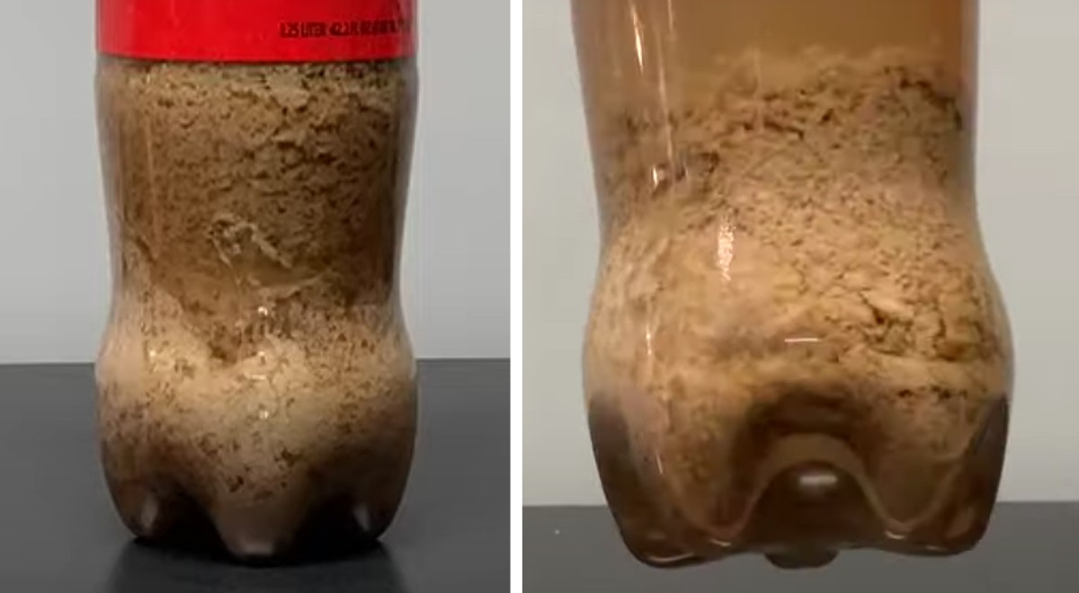 The Astonishing Experiment: Mixing Coca-Cola with Milk and the Surprising Results