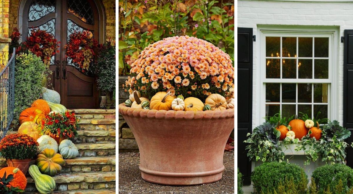 Autumn in the garden 17 creative decorations to enhance the beauty of