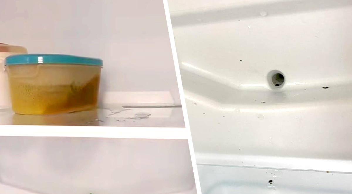 SUNURS Magneti Frigo 3D (Confezione da 16 o 9) - Resina Colorata con Magneti al Neodimio, Design Piatto & Superficie Lucida SUNURS Magneti Frigo 3D (Confezione da 16 o 9) - Resina Colorata con Magneti al Neodimio, Design Piatto & Superficie Lucida