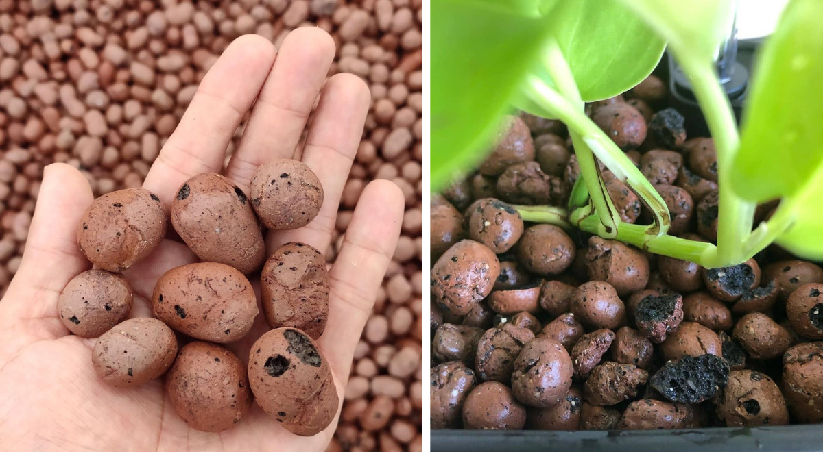 Blähton 5 Vorteile und 5 Nachteile seiner Verwendung im Gartenbau