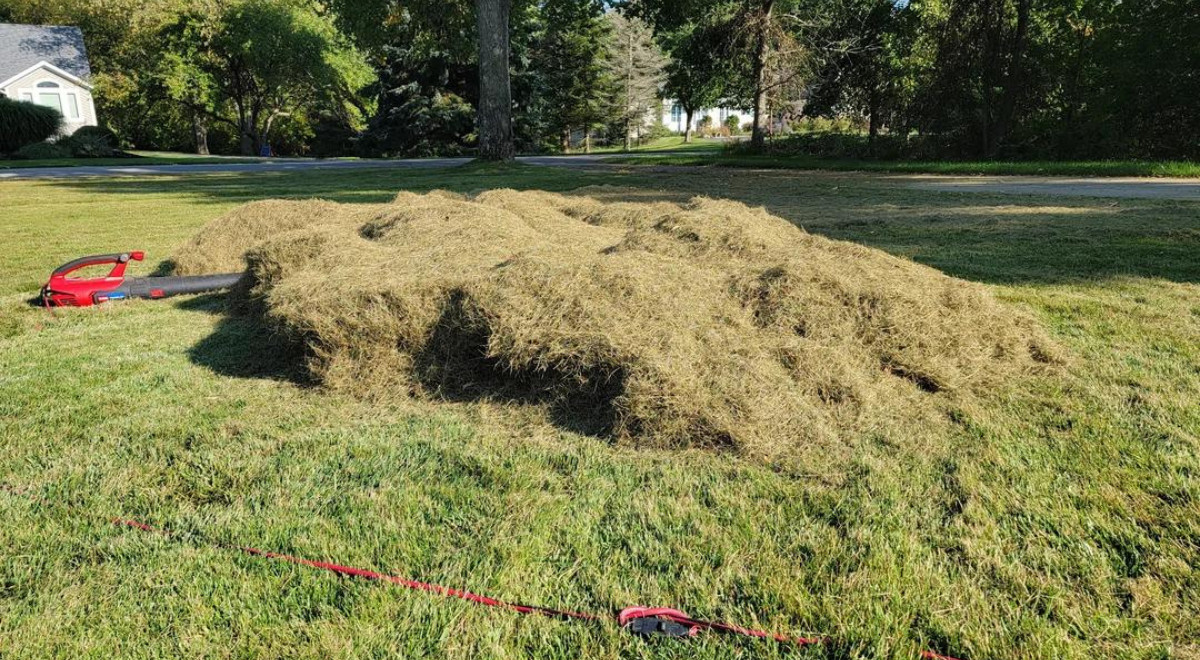 Mulching with cut grass: what are the advantages and how to do this ...