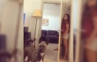 She plays a hilarious game of hide-and-seek with her dog!