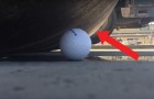 Sie testen die Festigkeit eines Golfballs: der Ausgang des Experiments lässt sie sprachlos