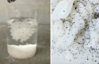 Rice adulteration test -- check your rice!