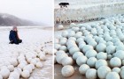 Migliaia di palle di neve hanno invaso la Siberia. Cosa si nasconde dietro questo bizzarro fenomeno?