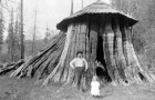 Enormi tronchi trasformati in case: ecco come vivevano i primi migranti nel nord-ovest americano