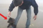 Incontra un cucciolo di orso sulla strada: ecco come reagisce l'animale alla sua vista