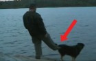 Hij probeert zijn hond het water in te duwen tijdens het vissen: zijn plan verloopt niet zoals hij had gehoopt!
