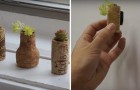 Zo transformeer je kurken in kleine plantenpotjes voor aan je koelkast of op je vensterbank!