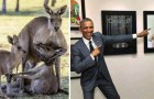 Fotomontaggi virali: ecco le più colossali bufale fotografiche circolate nel 2016