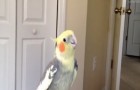 Video Dubstep