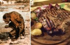 Secondo questo studio il consumo di carne sarebbe stato fondamentale per l'evoluzione della specie umana