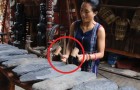Video de Vietnam