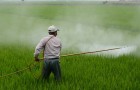 Pesticidi illegali ma comunque esportati: ecco il meccanismo che rende inutile qualsiasi legge