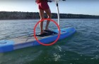 Voici la nouvelle façon de faire de l'exercice sur l’eau... Plus amusant que jamais !