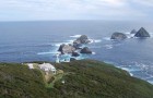 Payé pour vivre sur cette île DÉSERTE en Tasmanie : participeriez-vous à la sélection ?