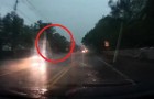 De bliksem slaat in, in een boom aan de kant van de weg: de kracht van dit fenomeen is weergaloos!