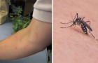 Enkele redenen waarom muggen sommige mensen liever bijten dan anderen