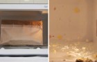 Twelve things you should NEVER microwave!