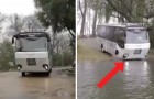 video med Buss