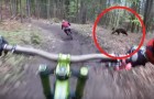 A frightful encounter on a bike trail! Check this out!