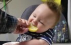 A baby's first time tasting a lemon! Hilarious!