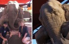Deux artistes créent un éléphant de sable impressionnant: le résultat final a dépassé toutes les attentes