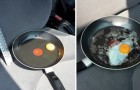 L'expérimentation de l’œuf qui nous explique ce qui se passe quand nous laissons les animaux dans la voiture