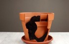 Do not throw away broken flower pots! Here's why!