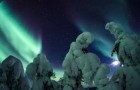Video Nature