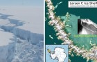 Een van de grootste ijsschotsen van de Zuidpool breekt af: experts hebben weinig twijfels over een van de oorzaken