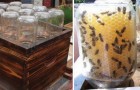 Cet homme a trouvé une solution pour sauver les abeilles et pour produire du miel (et tout le monde adore).