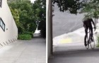 Video Bicycle