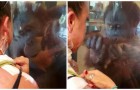 Ein Affe nähert sich einer Frau, die schwere Verbrennungen erlitten hat: seine Reaktion lässt alle sprachlos