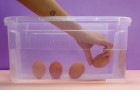 Algunos trucos culinarios con los huevos que querran inmediatamente poner en practica