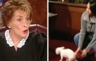 A judge gives the dog the last word ...