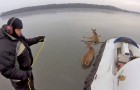 The rescue of two deers on a frozen lake 