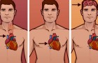 Impara la differenza fra un infarto, un arresto cardiaco e un ictus. Potresti salvare una vita