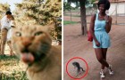 27 foto che l'intrusione dei gatti ha reso bellissime