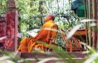 Un monaco buddista dà 7 consigli su come fare le pulizie in casa nel modo giusto