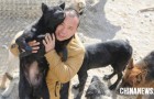 Un millionnaire chinois décide de tout dépenser pour sauver les chiens de l'abattoir après avoir perdu le sien