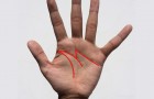 Avere la 'M' sul palmo della mano ha un importante significato: se ce l'hai, leggi qui