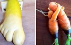These vegetables seem like something else --- would you have the courage to eat them?