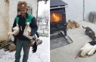 In Bulgaria, il freddo ha congelato le cicogne: l'impegno della comunità per salvarle è commovente