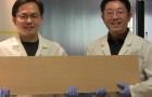 Des chercheurs développent le super-bois : plus dur que l'acier et capable d'arrêter les balles