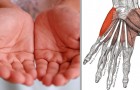 7 Signale zu deinem Gesundheitszustand die du erkennst wenn du deine Hände betrachtest