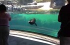 Video Teneri