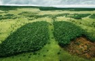 24 des campagnes publicitaires environnementales les plus marquantes, qui suscitent la réflexion